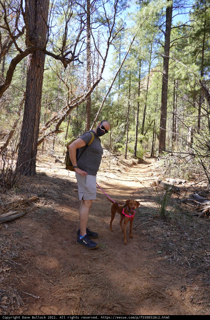 Hiking with My Furry Friend