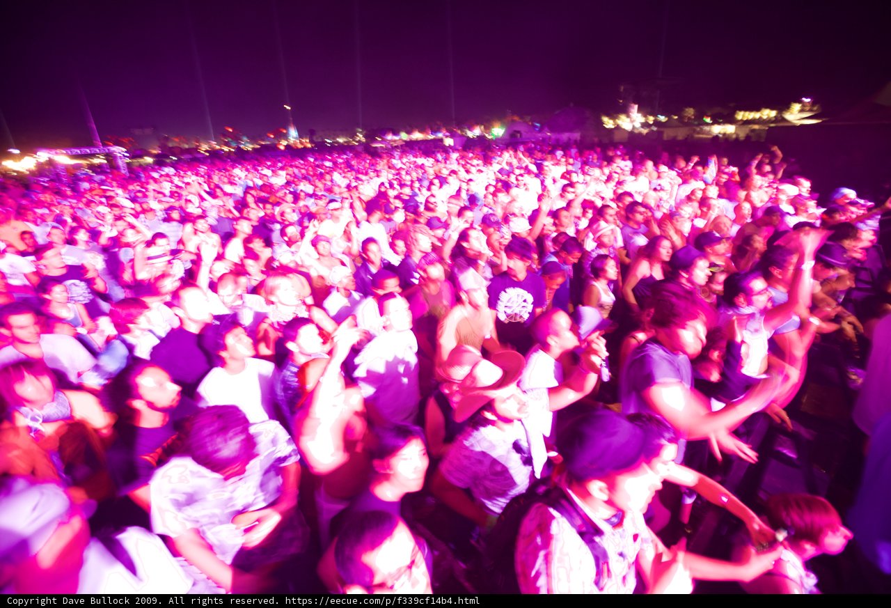 Purple Haze at Coachella 2009