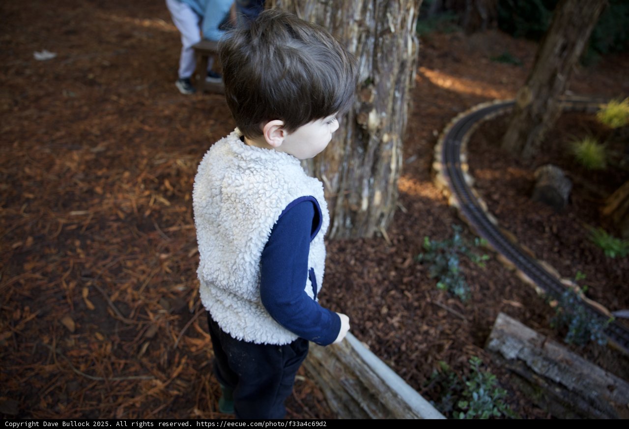 Woodland Wonders