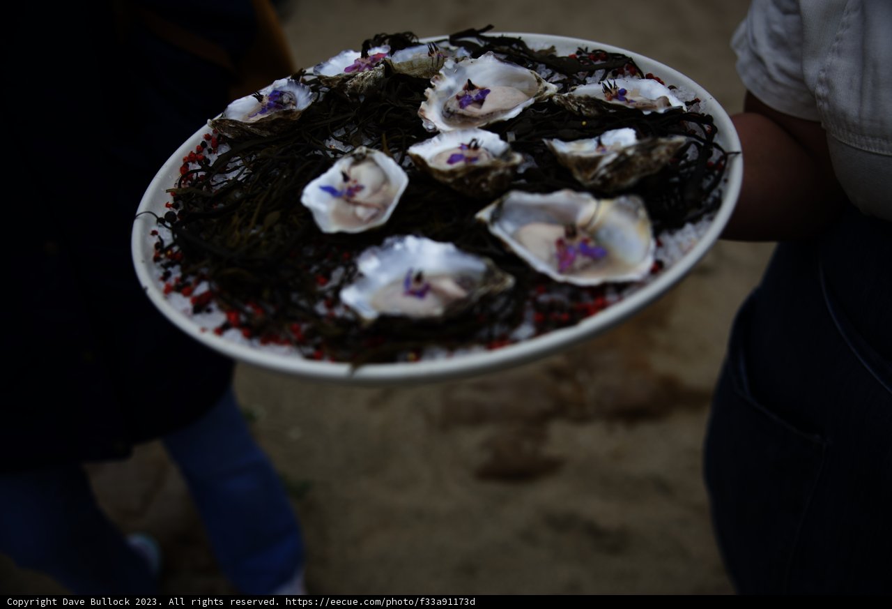A Bountiful Catch in Pescadero, California