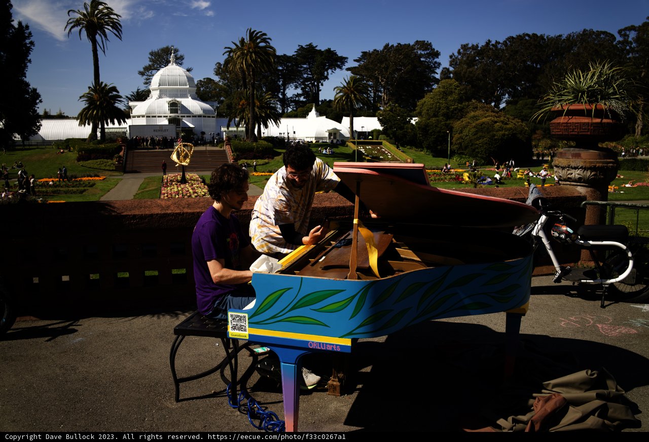 A Summer Serenade in Golden Gate Park