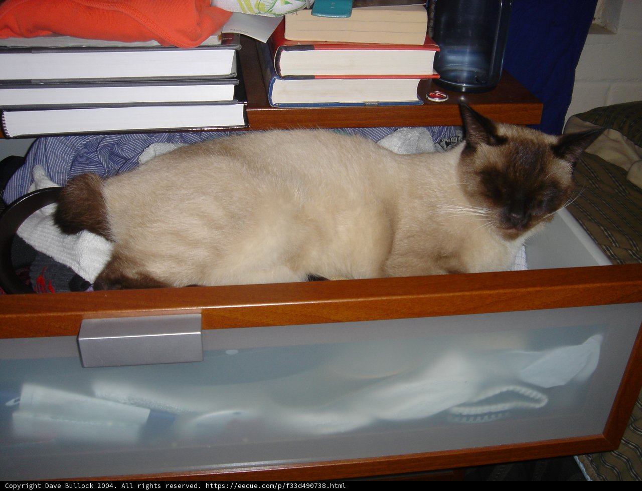 Drawer Dweller