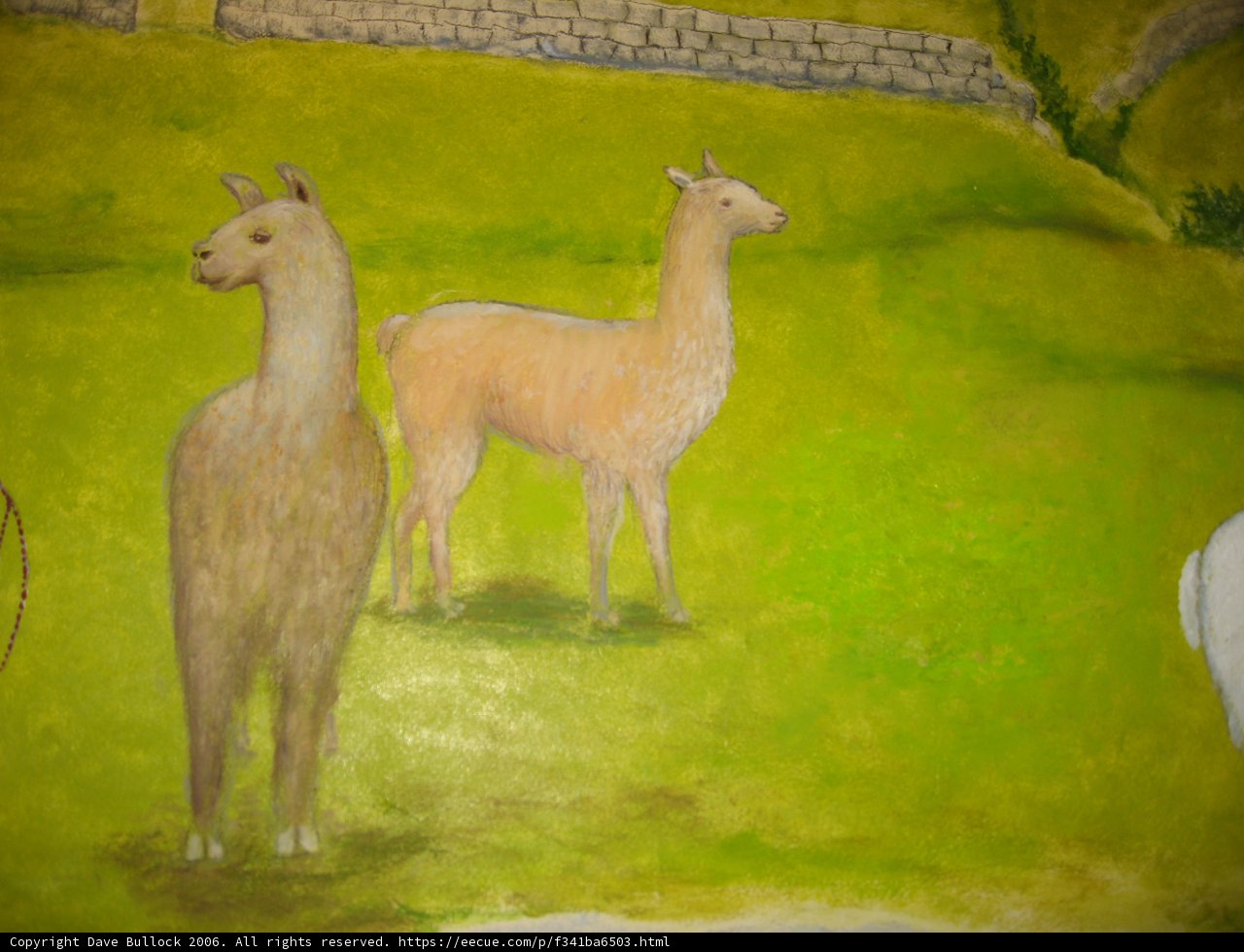 Llama Duo in the Wild