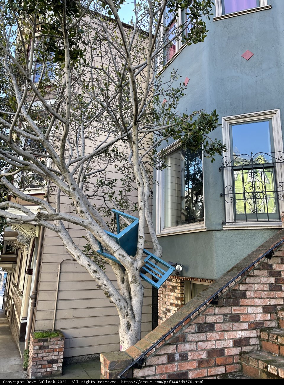 The Blue Chair in the Heart of the Urban Jungle