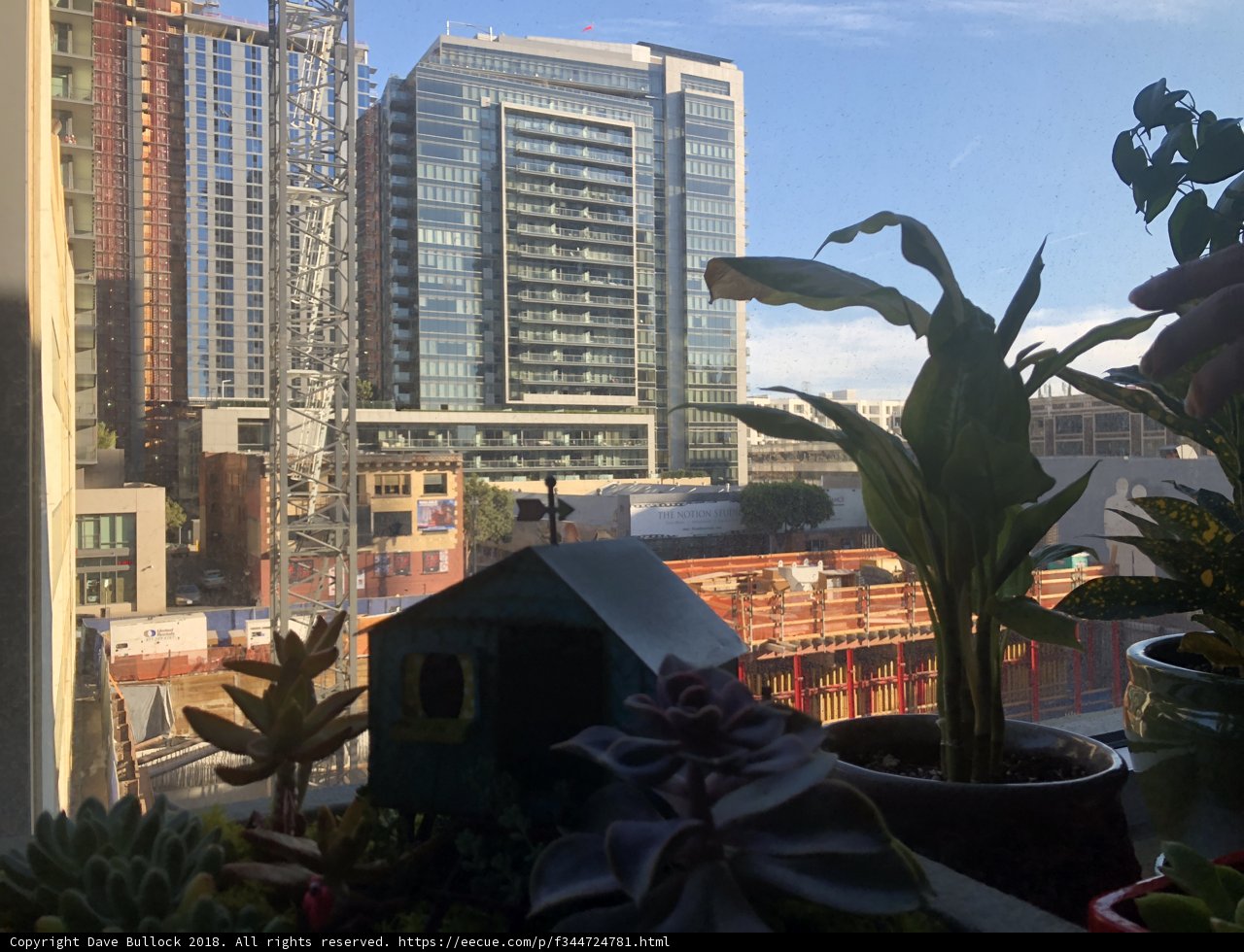 Urban Oasis