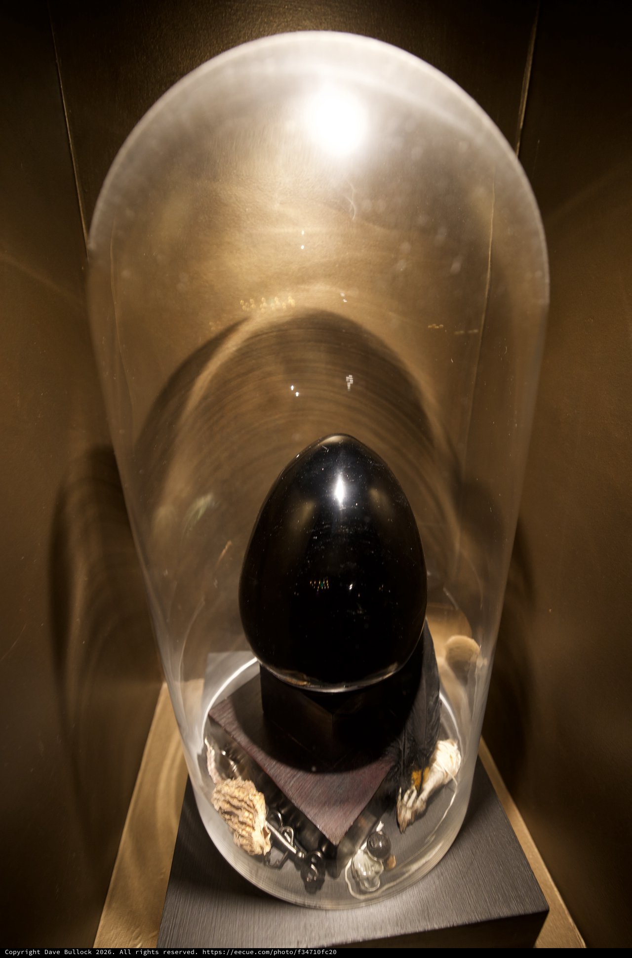 Black Obsidian Egg Under Illuminated Glass Dome Display