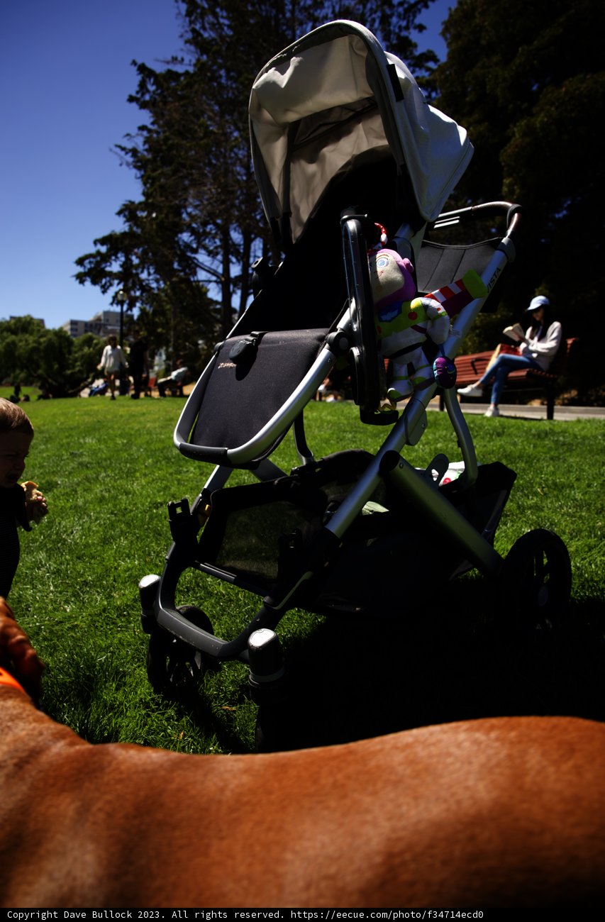 A Sunny Scene at Delores Park, 2023