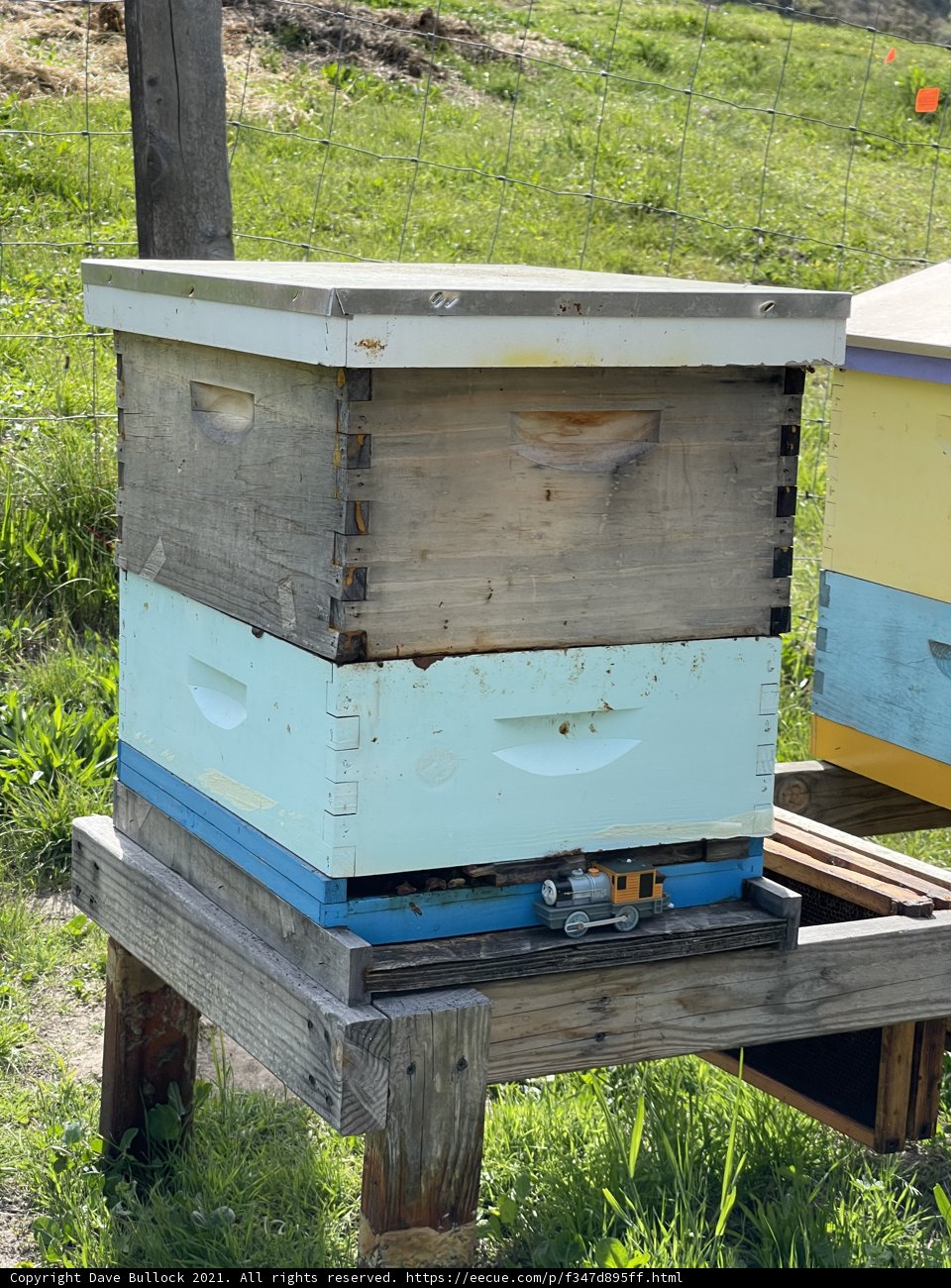 Buzzing Apiary in Carmel
