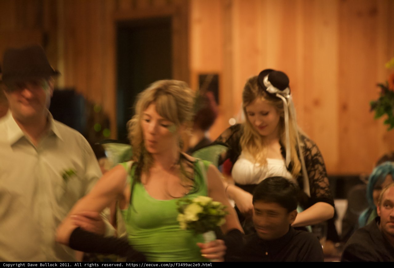 The Green Dress Brigade