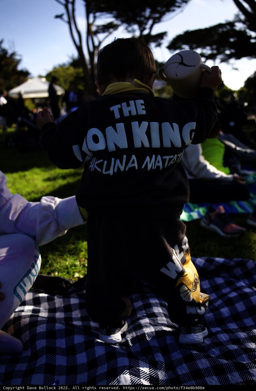 The Little Monkey King's Day Out