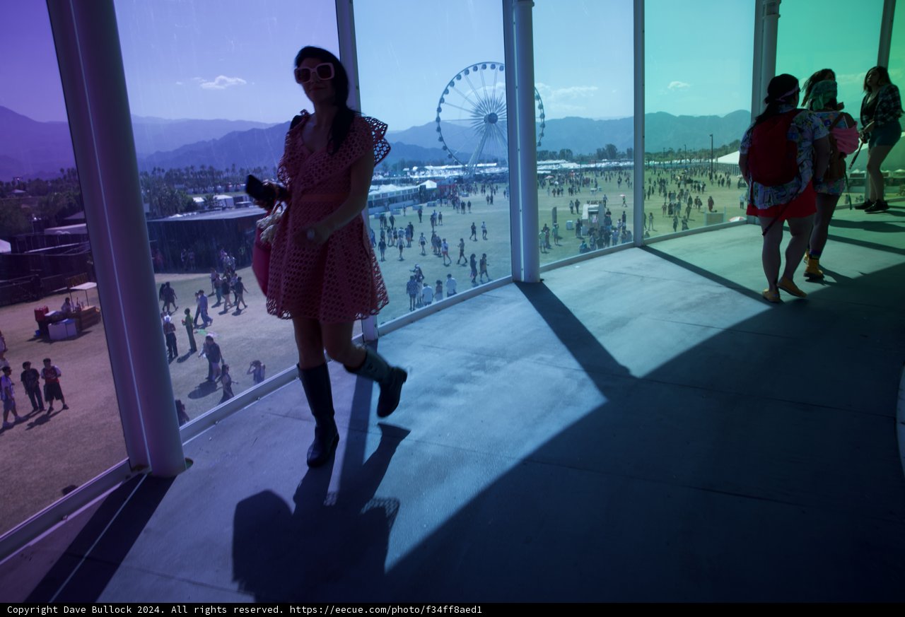 Shades of Festival: A Coachella 2024 Snapshot