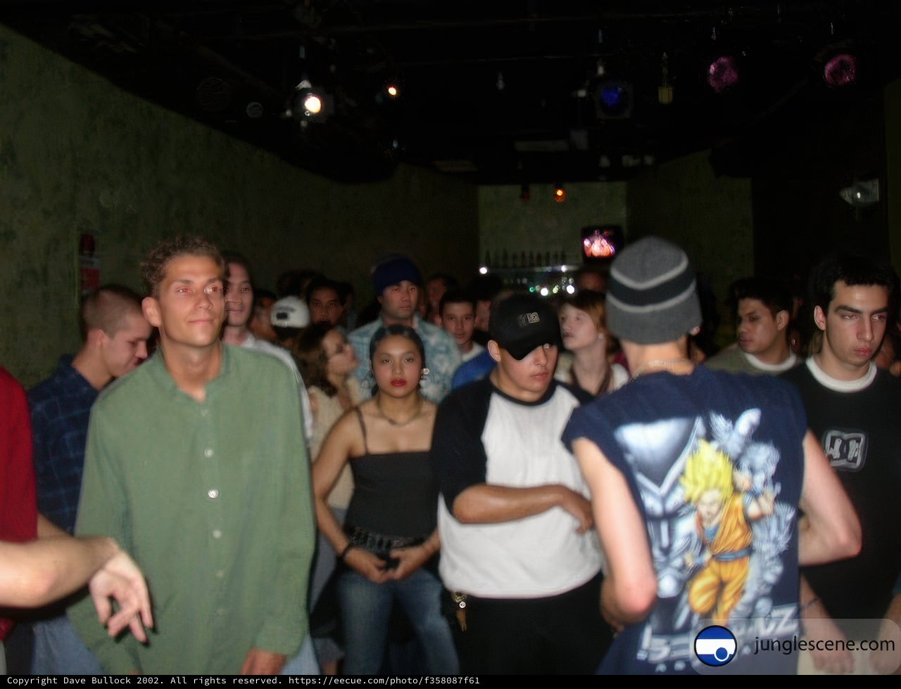 Nightclub Crowd at Disco Dance Floor