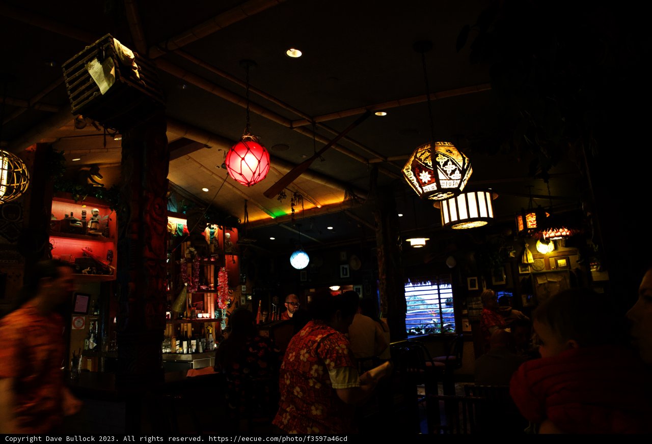 Magical Moments at Disneyland's Restaurant