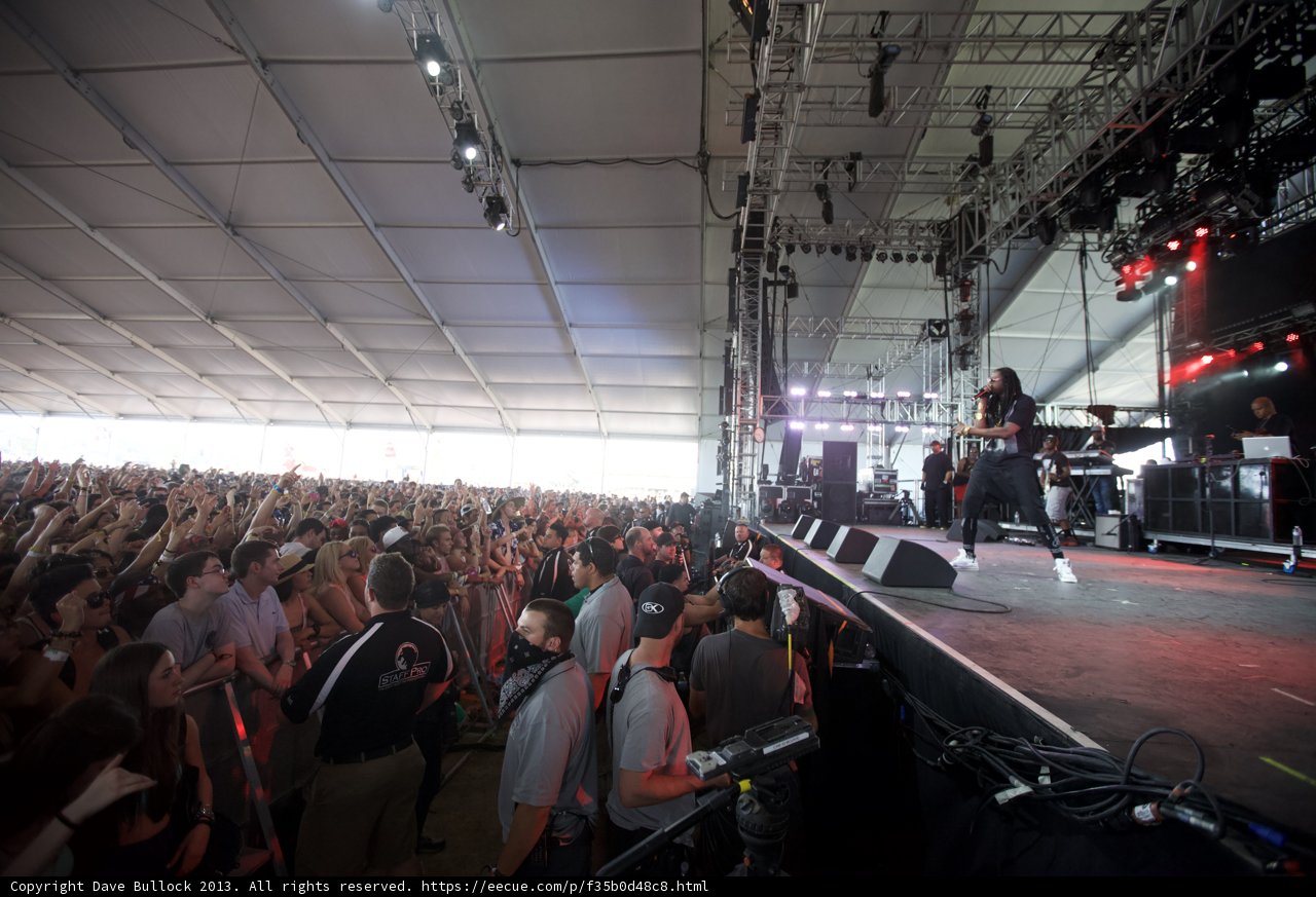 Concert Crowd Rockin' Out