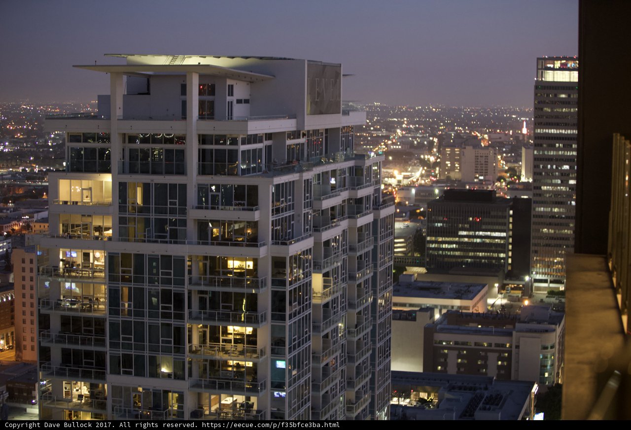 Nightlife in the Metropolis