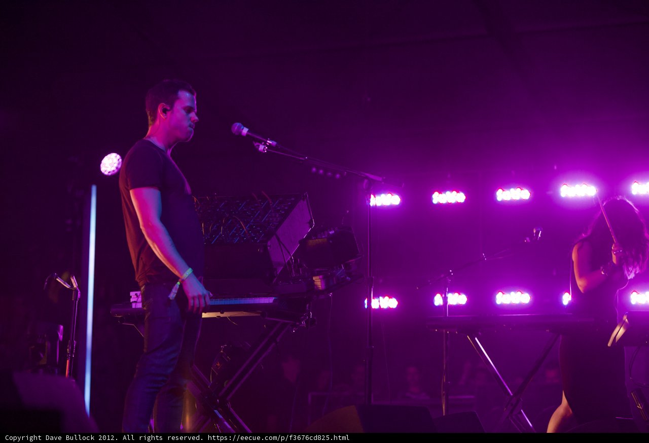 Electrifying Performance under the Purple Lights