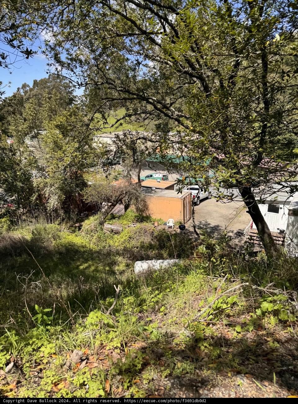 Hidden Corners of Tilden Park