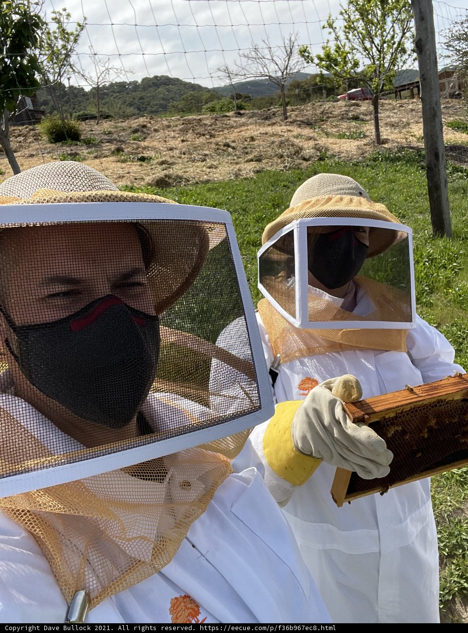 Beekeepers at work