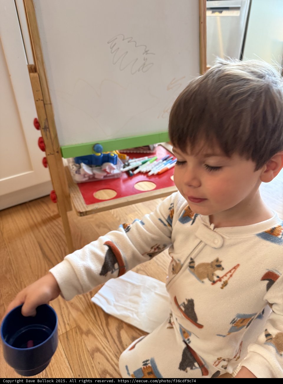 Morning Playtime Imagination