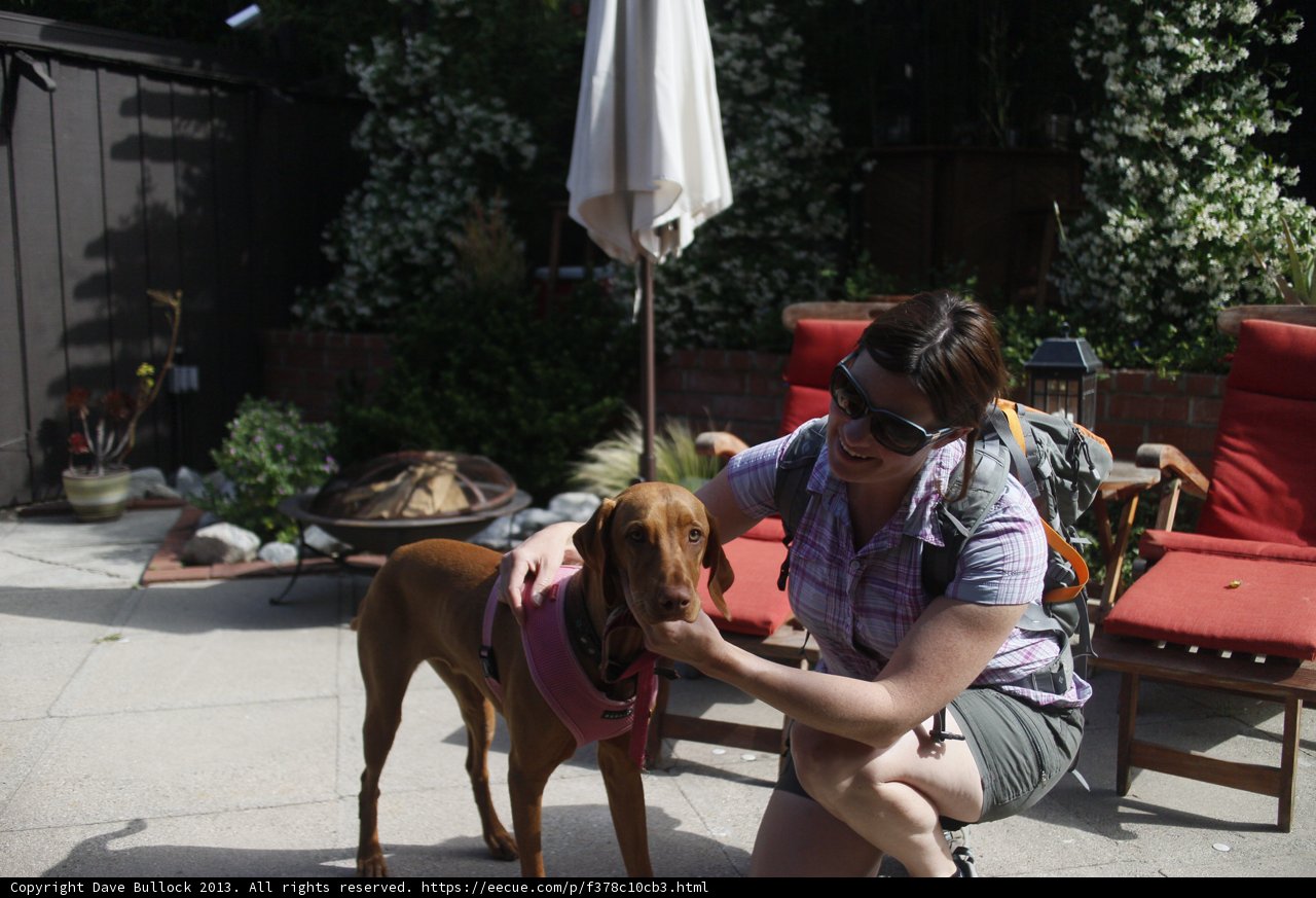 Woman Enjoying Sunny Day with Pet Dog