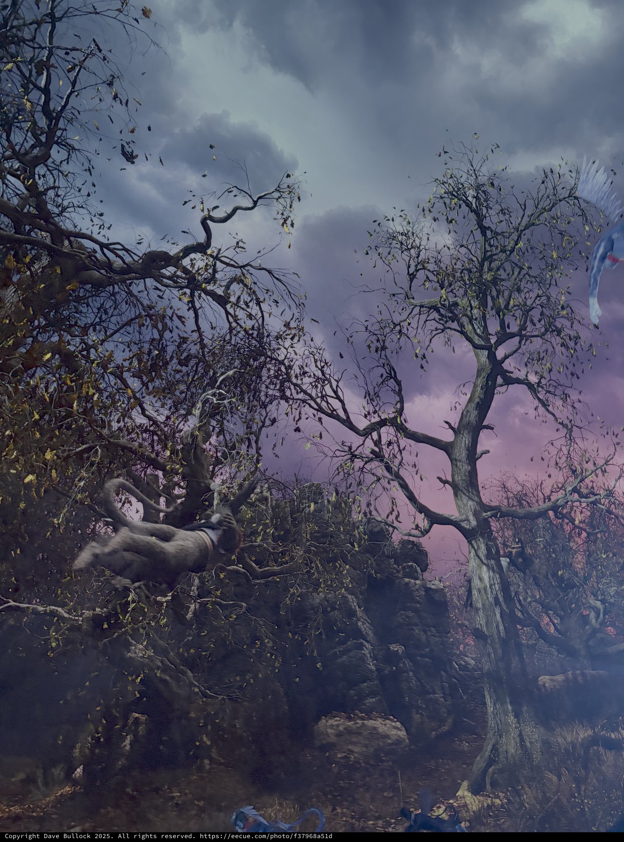 Mystical Forest Scene with Fallen Figure