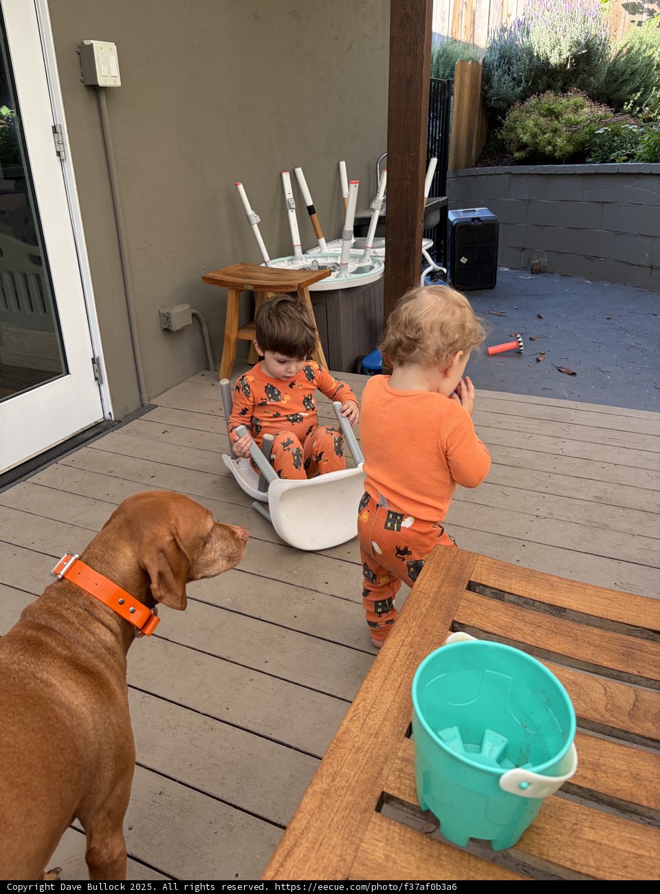 Morning Playtime on the Porch