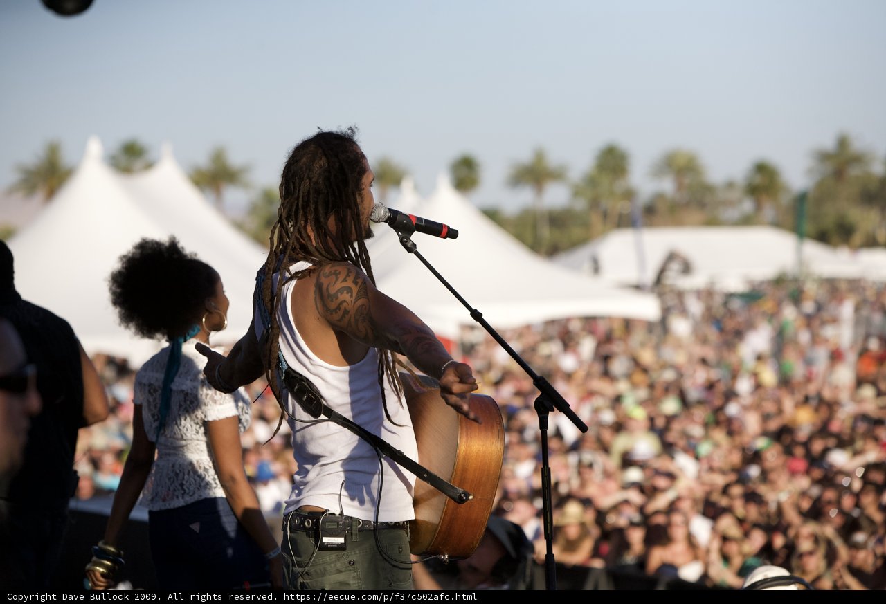 The Guitarist with Dreadlocks
