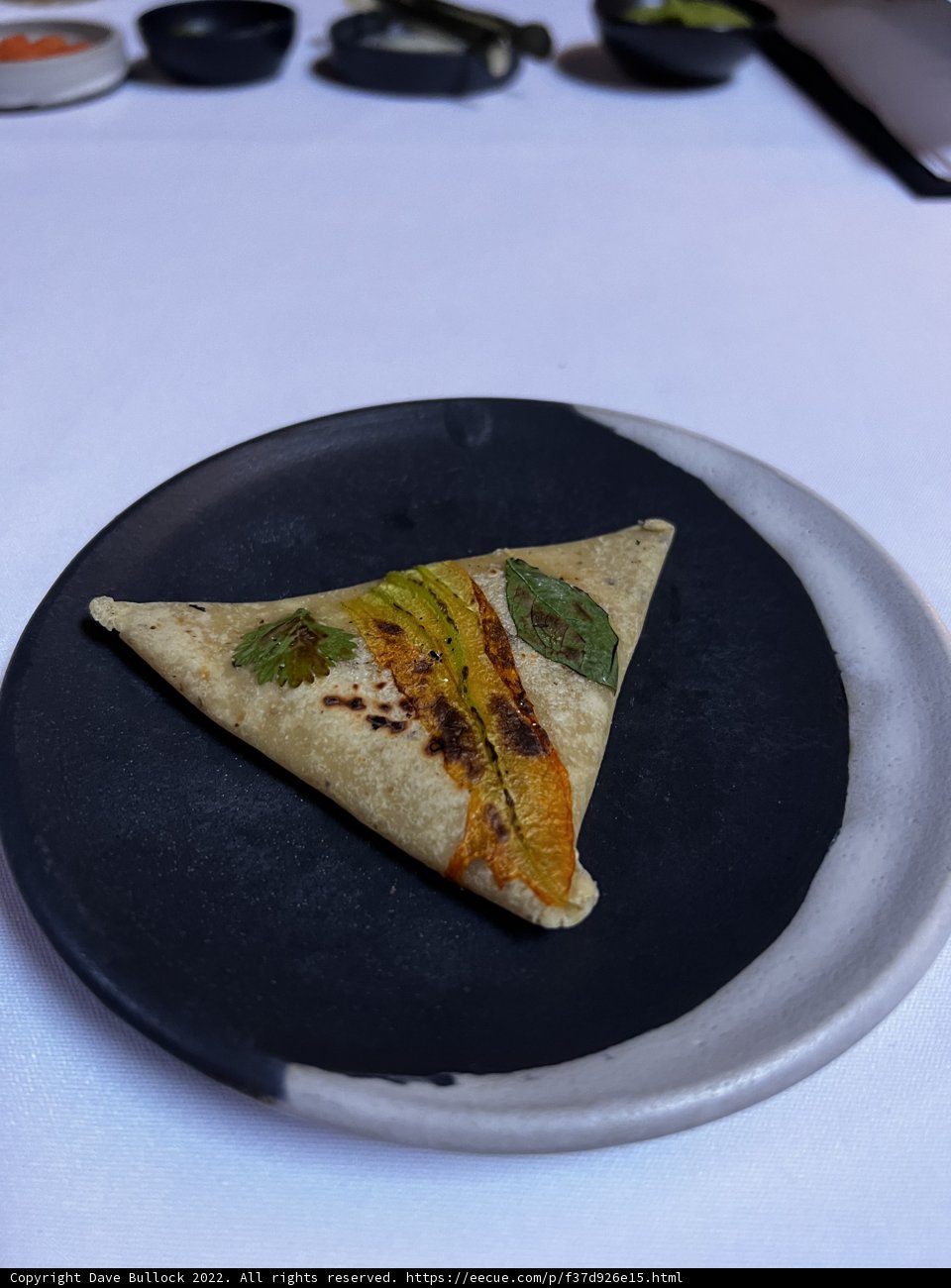 Golden Brown Tortilla