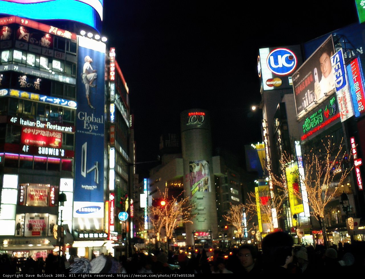 Lights, Signs, and People in the Metropolis