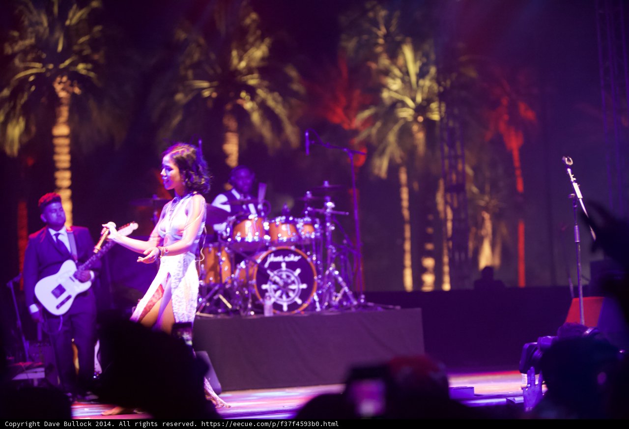 Rocking Out on Coachella Stage