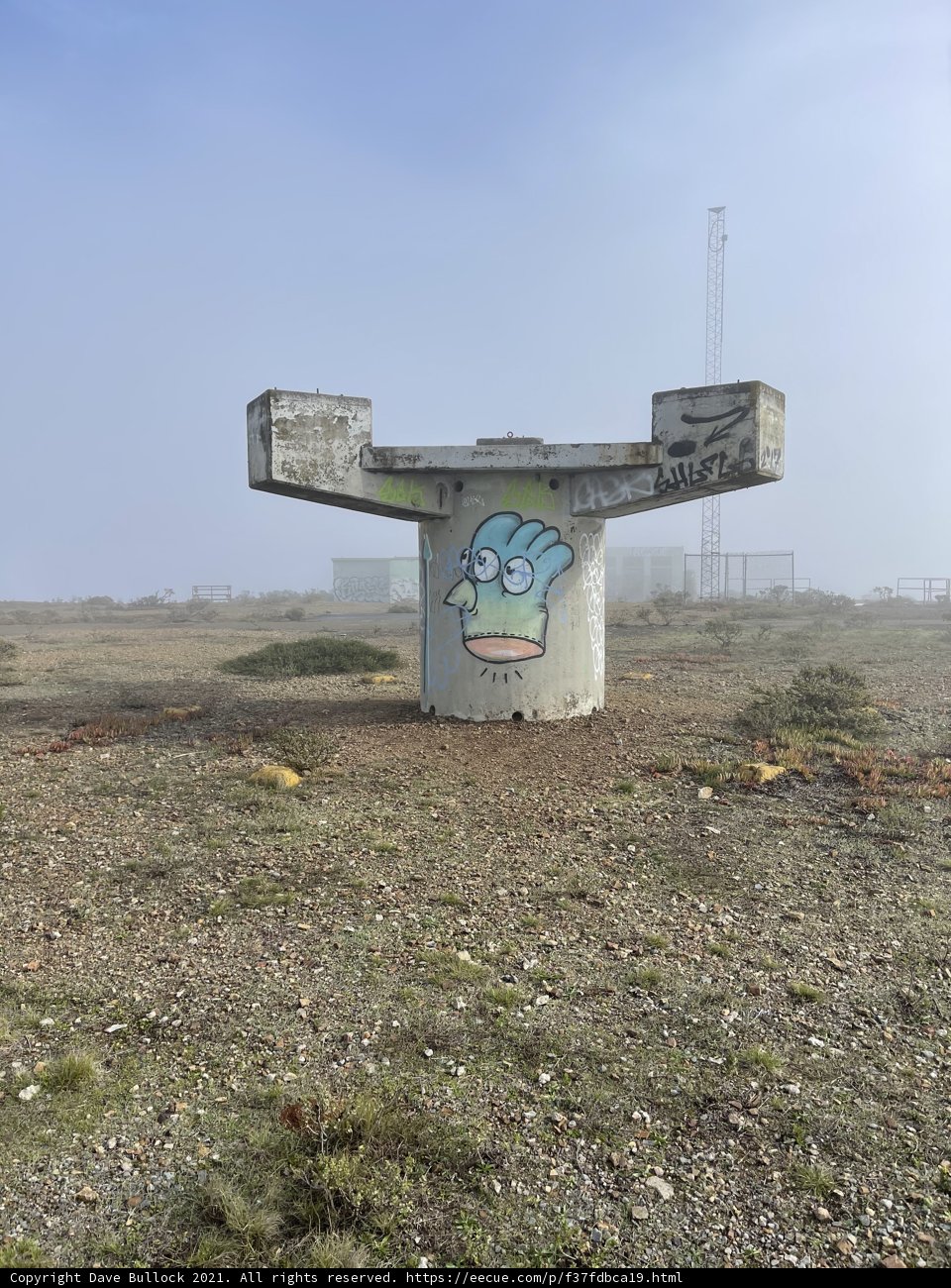 Graffiti Bunker in the Wilderness