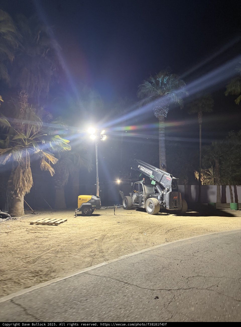 Nocturnal Glow in the Desert Oasis