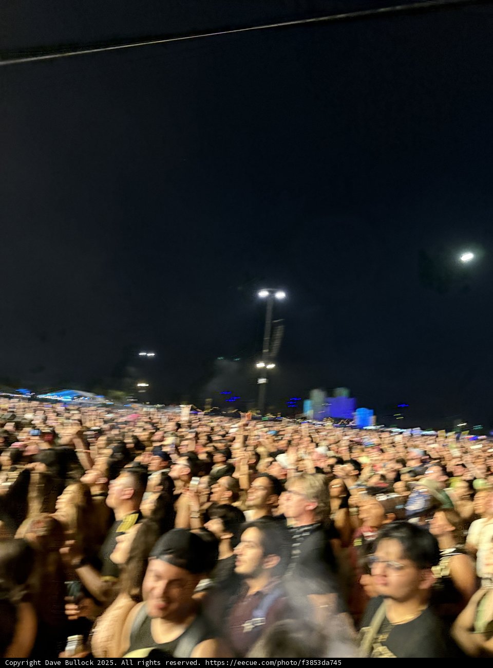 Electric Night Under the Stars