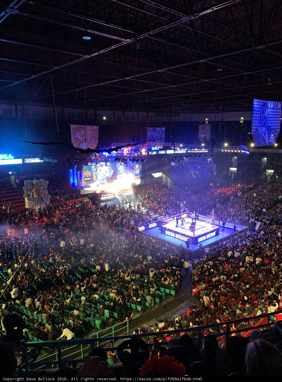 Rocking the Arena