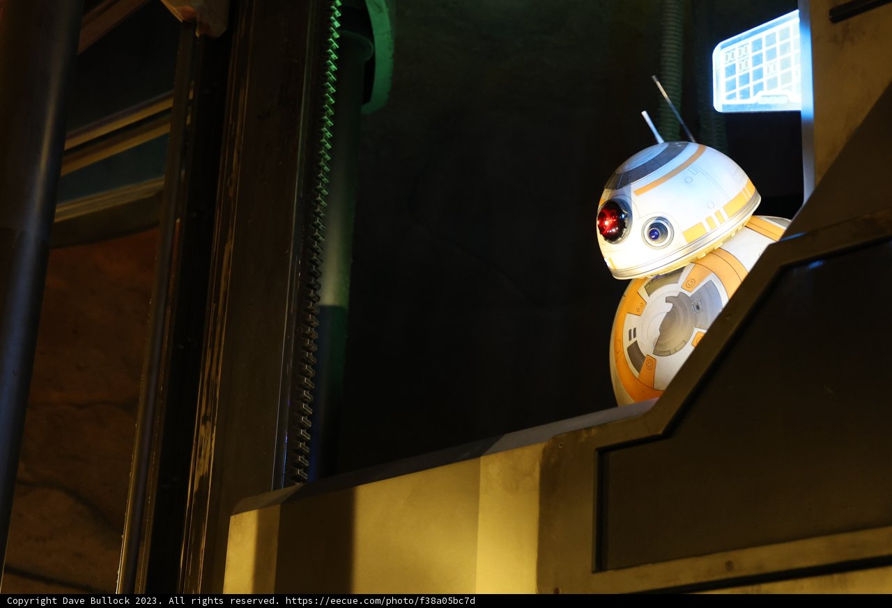 The Robot Gazing Out the Window