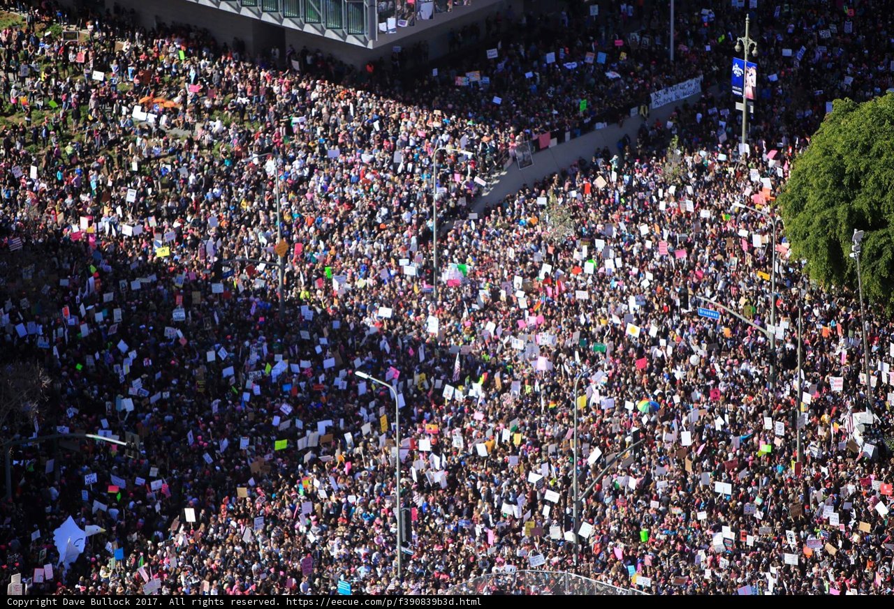 Massive Crowd at LA Concert