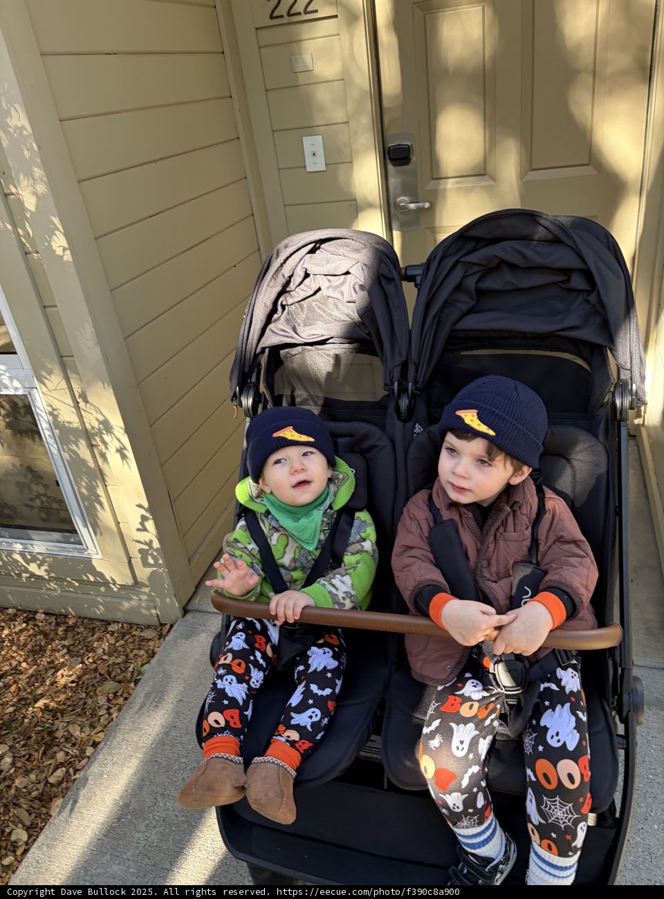 Strollin’ Through Carmel