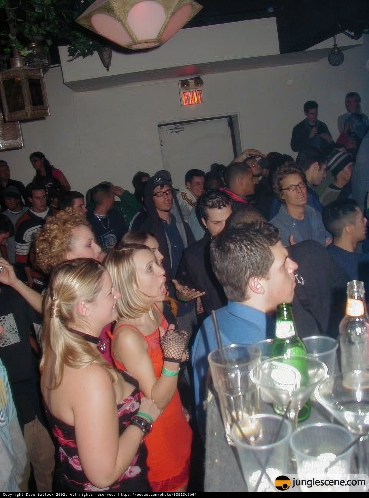 Nightlife Vibes at the Club