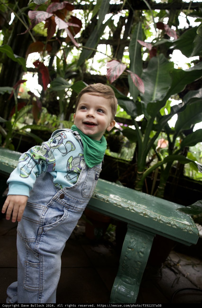 Joy in Simplicity: A Moment Frozen in Time
