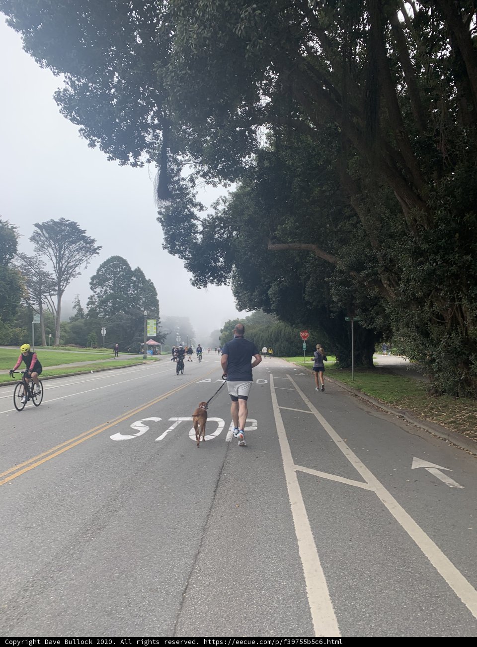 A Walk with the Pup and Bikers
