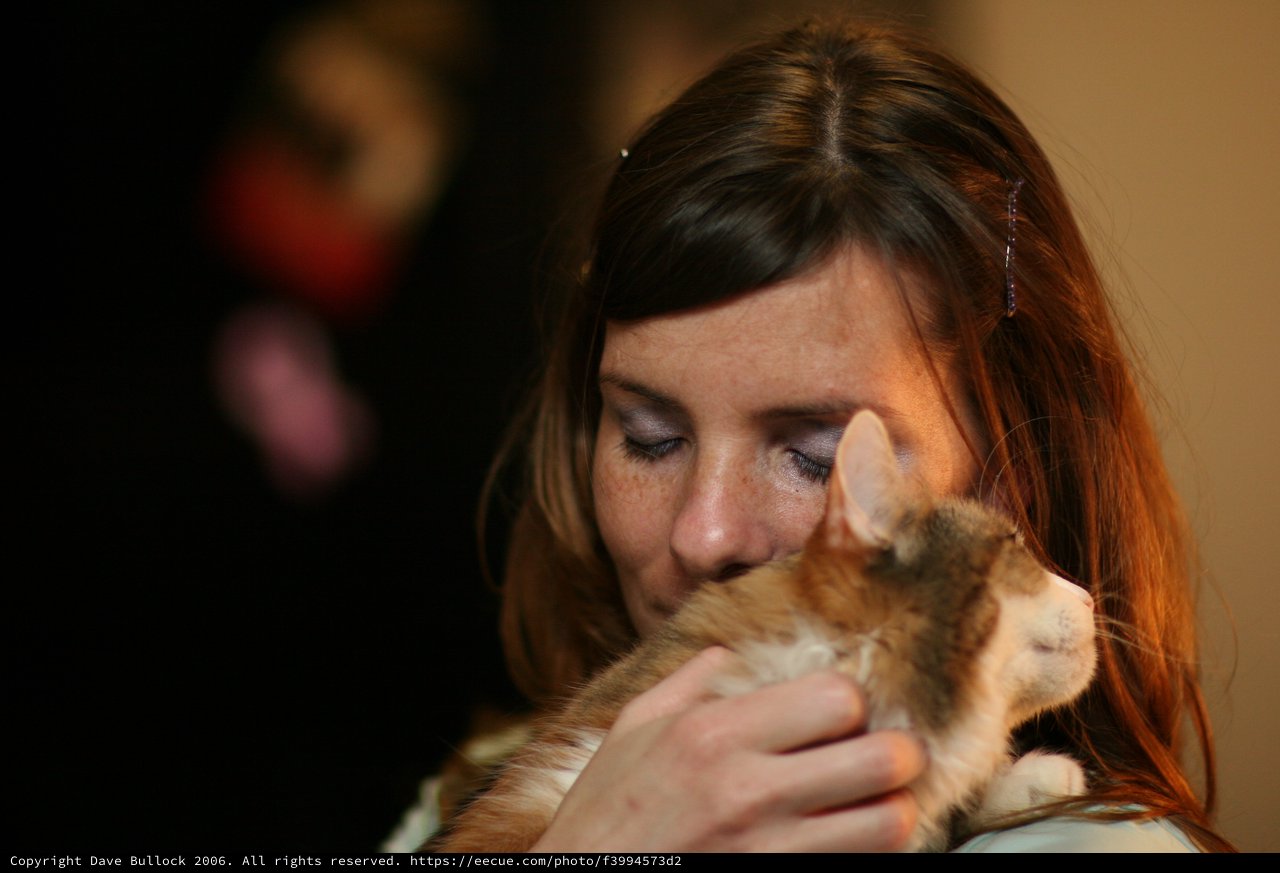 Woman Tenderly Nuzzles Orange Tabby Kitten Close