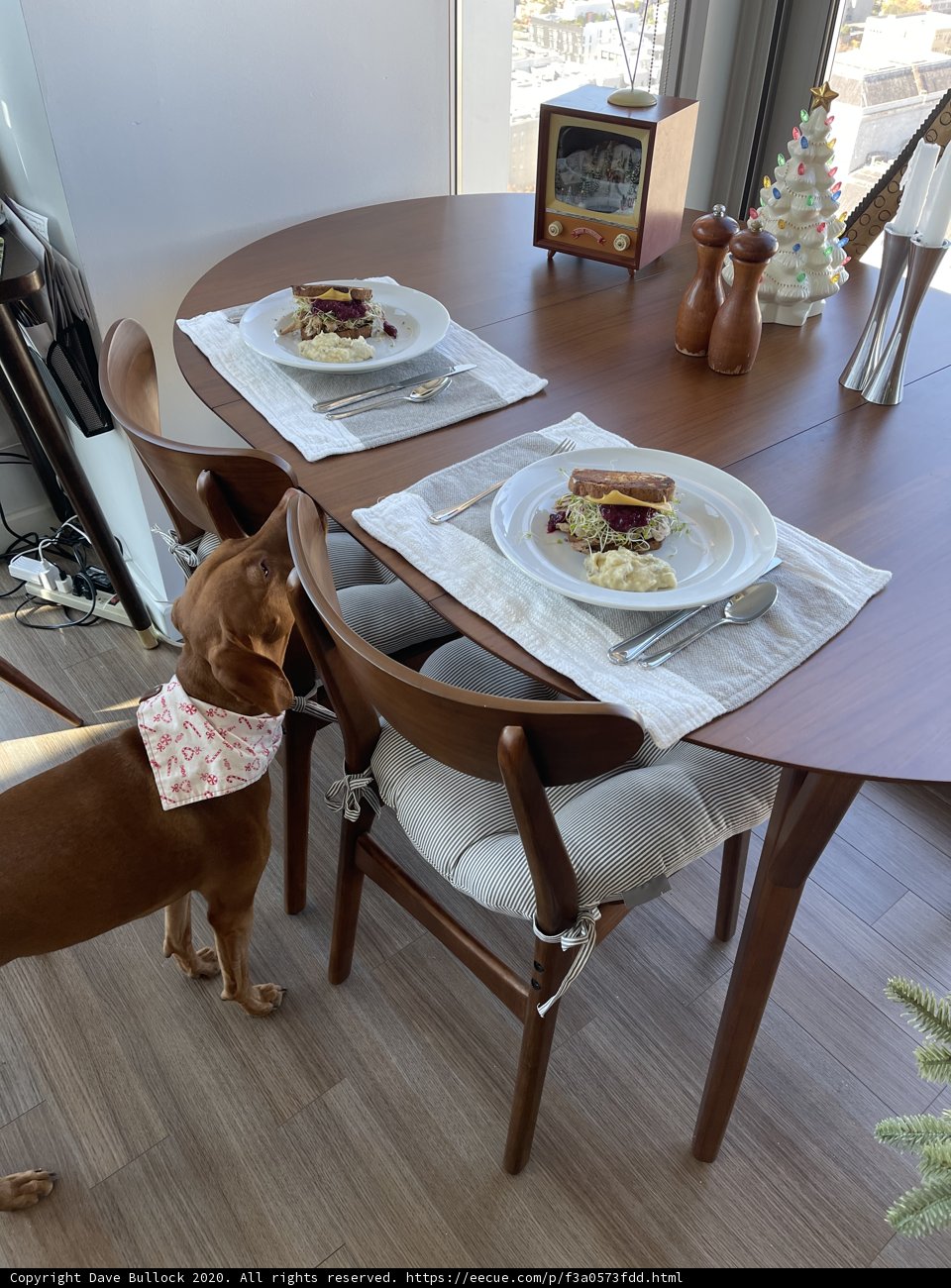 The Four-Legged Brunch Companion