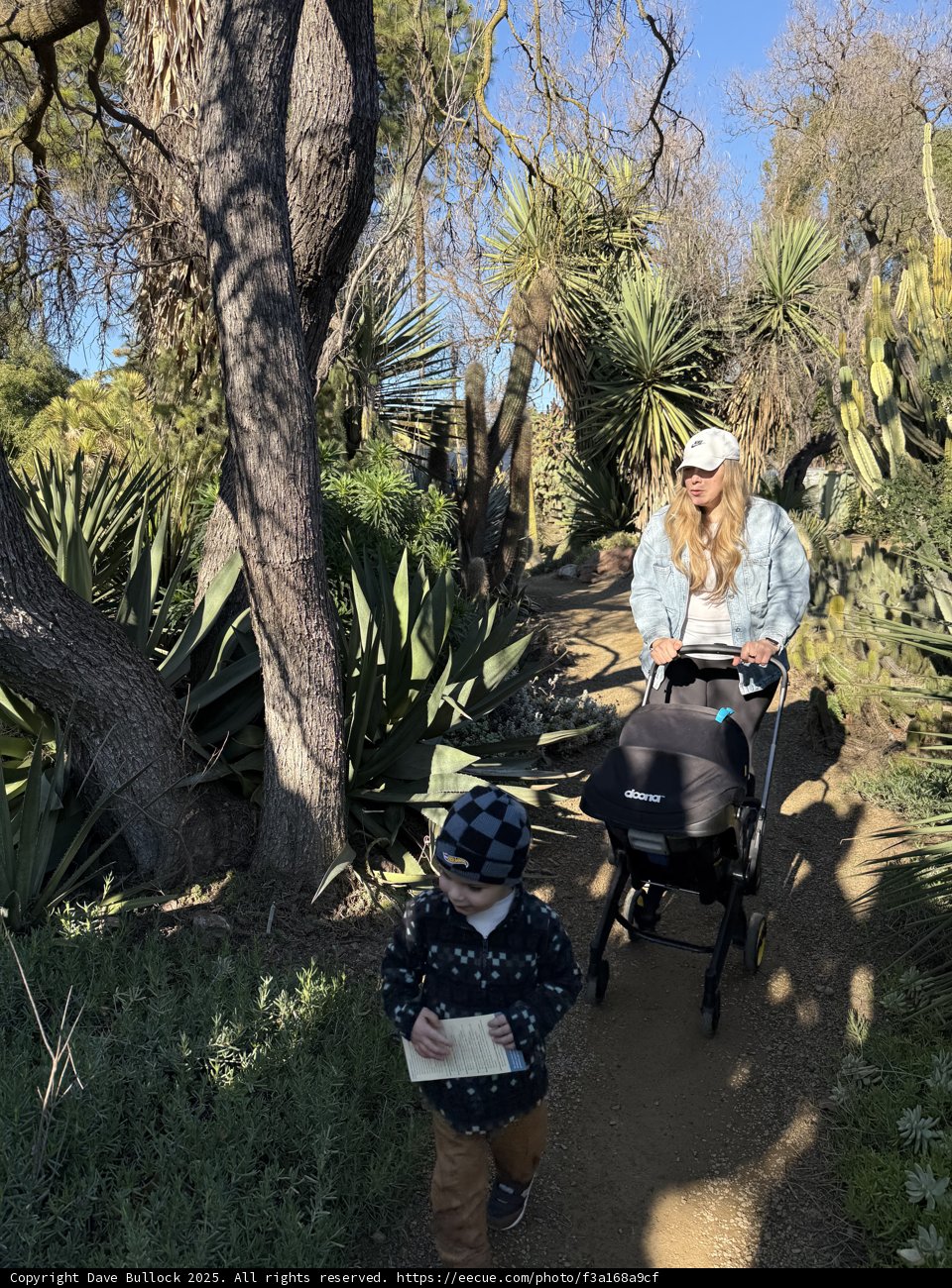 Strolling Through Nature's Sanctuary