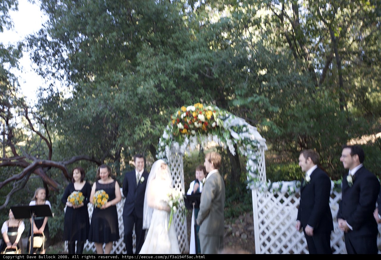 Enchanting Woods Wedding