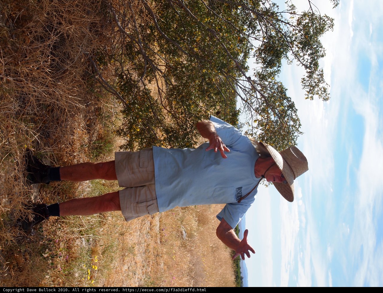 The Gardener in His Sun Hat