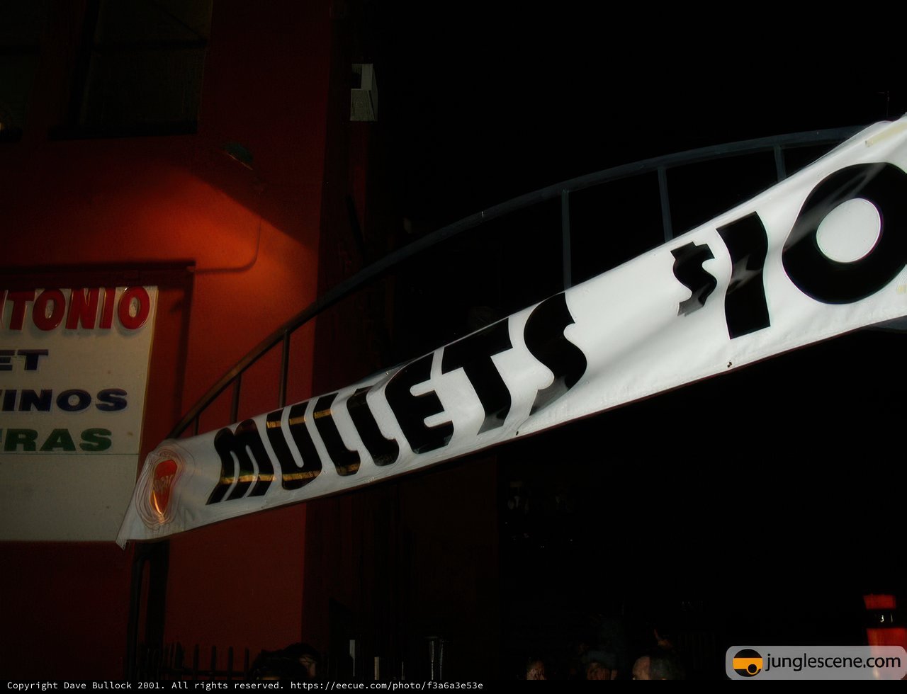 Celebrating 10 Years of Mullet Madness