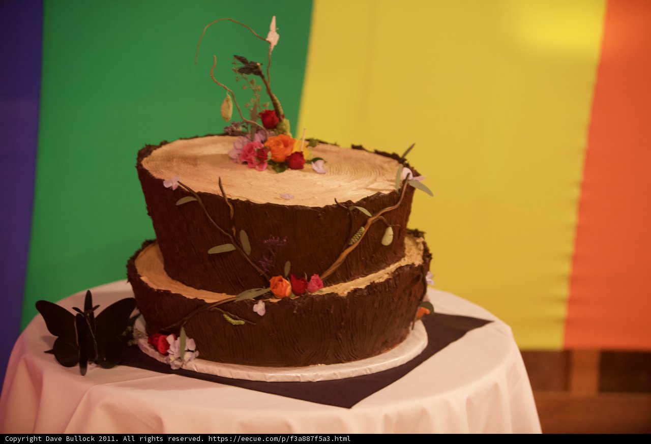 Floral Frosted Wedding Cake