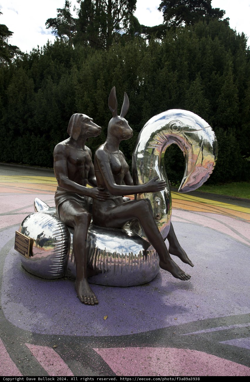 Harmonious Reflection - The Bronze Bonds at Golden Gate Park