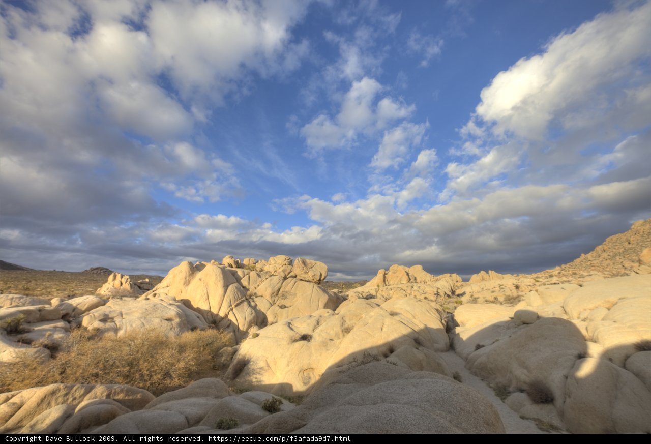 Desert Dreamscape