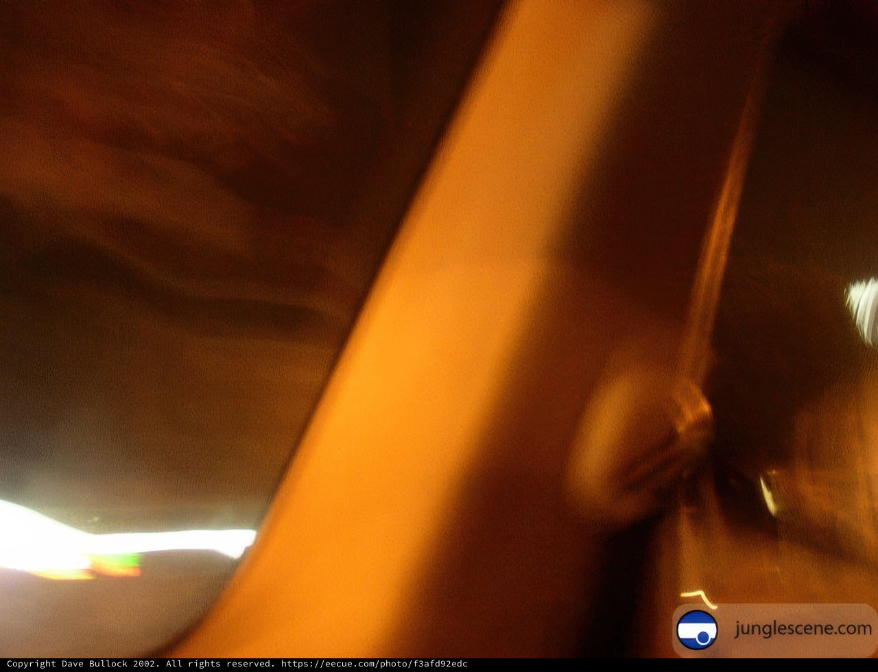 Blurred Night Ride